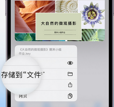 城口apple维修中心分享iPhone文件应用中存储和找到下载文件