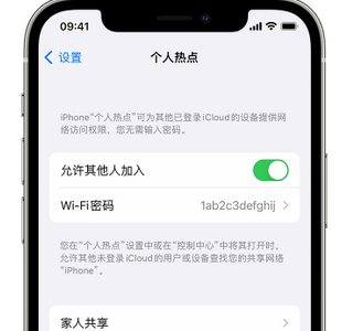 城口apple服务站点分享iPhone上个人热点丢失了怎么办 