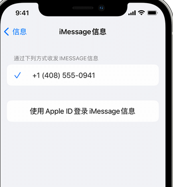 城口apple维修iPhone上无法正常发送iMessage信息 