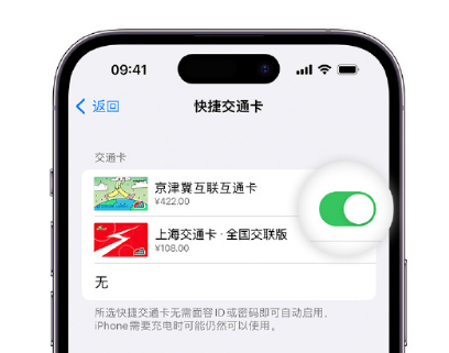 城口apple维修点分享iPhone上更换Apple Pay快捷交通卡手绘卡面 