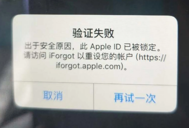 城口iPhone维修分享iPhone上正常登录或使用AppleID怎么办 