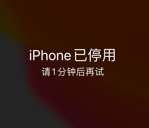 城口苹果手机维修分享:iPhone 显示“不可用”或“已停用”怎么办？还能保留数据吗？ 