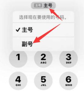 城口苹果14维修店分享iPhone 14 Pro Max使用副卡打电话的方法 