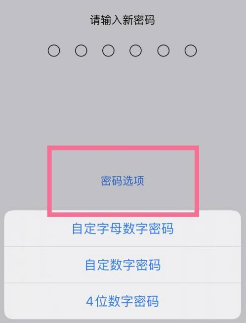 城口苹果14维修分享iPhone 14plus设置密码的方法 