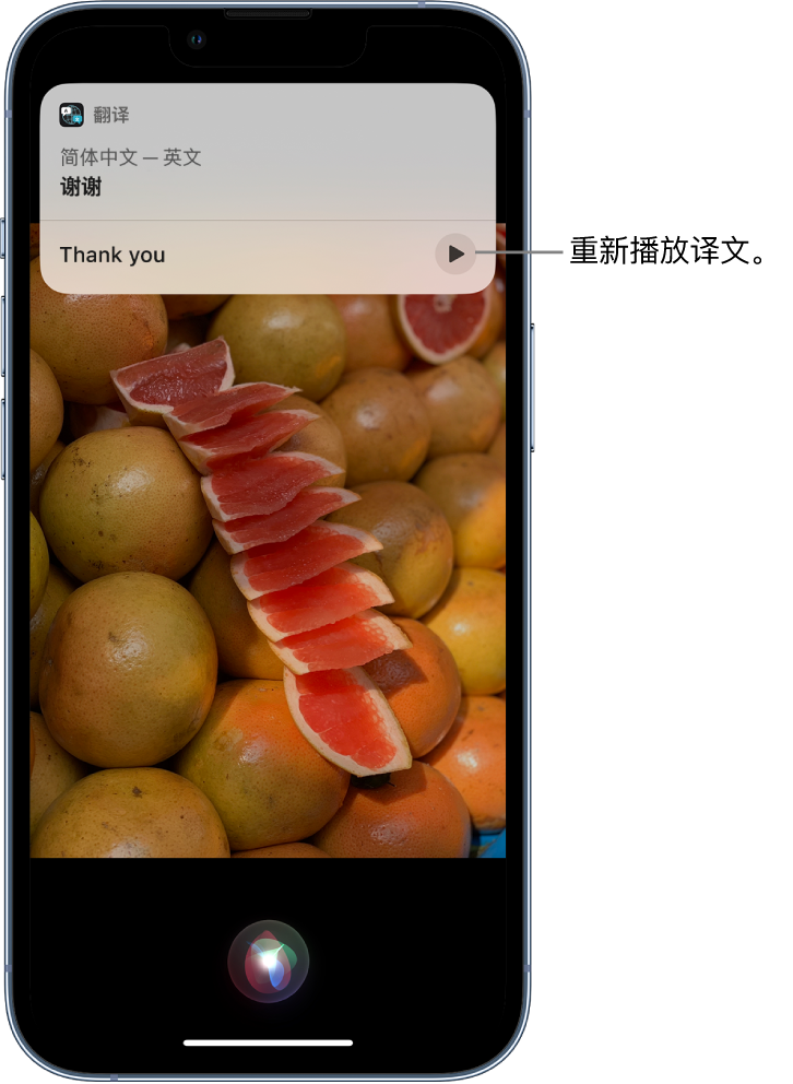 城口苹果14维修分享 iPhone 14 机型中使用 Siri：了解 Siri 能帮你做什么 