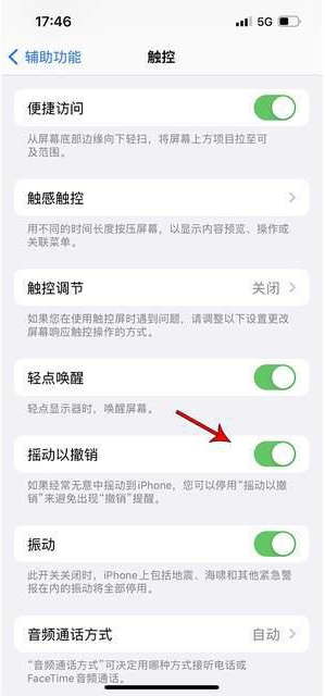 城口苹果手机维修分享iPhone手机如何设置摇一摇删除文字 