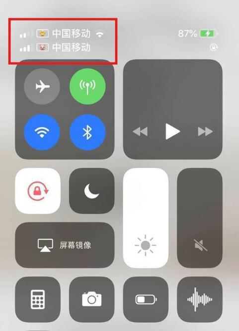 城口苹果手机维修分享为 iPhone 12 双卡设置标签 
