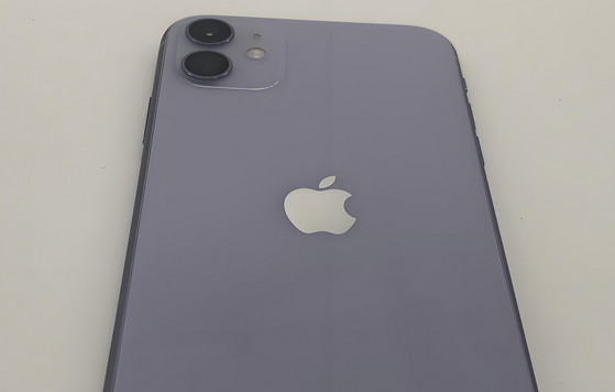 城口苹果11系统维修分享iPhone11手机系统崩溃无法开机如何解决